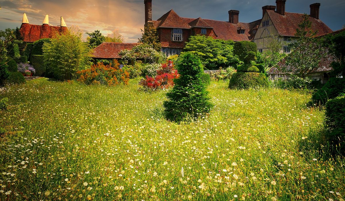 Field Notes on the Flowering Cycle of Common Sedges