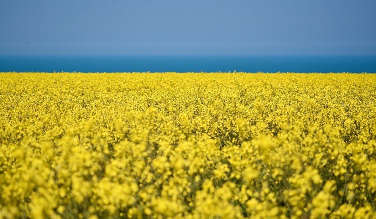 Understanding Soil Moisture for Wetland Plant Success